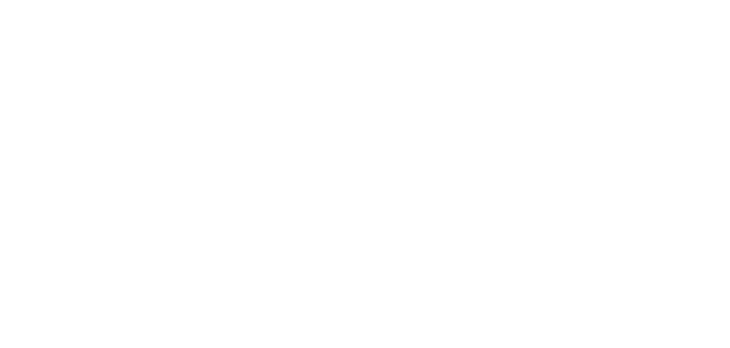 Logo game changer